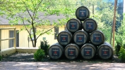 PICTURES/Four Roses Distillery, Lawrenceburg, KY/t_Barrels.JPG